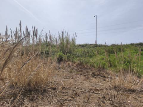 Terreno Urbano para Construção