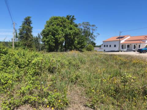 Terreno com PIP Aprovado para Construção de 5 Moradias - Cadaval