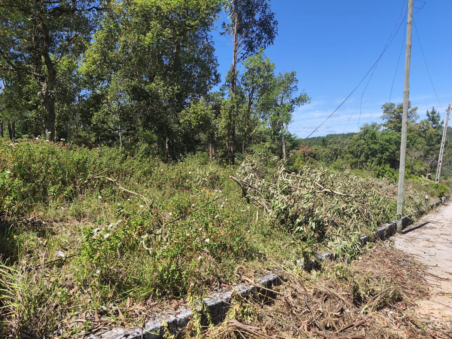 Terreno com PIP Aprovado para Construção de 5 Moradias - Cadaval
