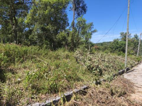 Terreno com PIP Aprovado para Construção de 5 Moradias - Cadaval