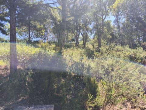Terreno com PIP Aprovado para Construção de 5 Moradias - Cadaval