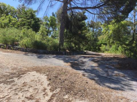 Terreno com PIP Aprovado para Construção de 5 Moradias - Cadaval