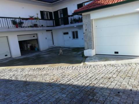 Quinta com produção de vinho verde