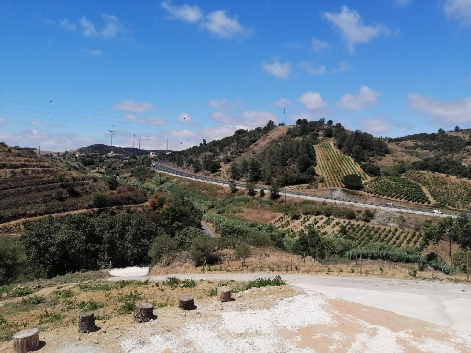 Propriedade ampla com casa para renovar 44.000 m2 Torres Vedras