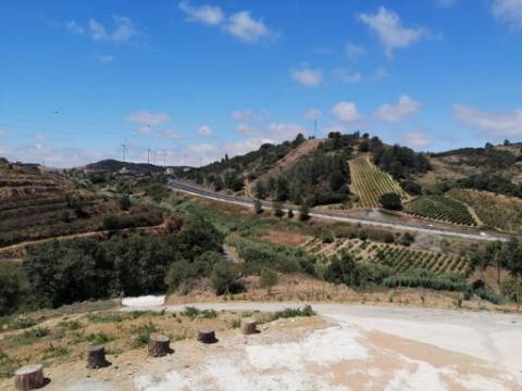 Propriedade ampla com casa para renovar 44.000 m2 Torres Vedras