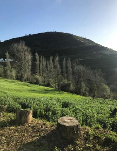 Propriedade ampla com casa para renovar 44.000 m2 Torres Vedras