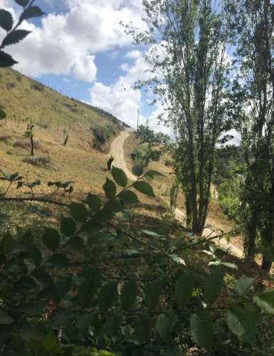 Propriedade ampla com casa para renovar 44.000 m2 Torres Vedras