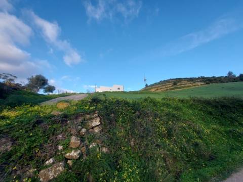 Propriedade ampla com casa para renovar 44.000 m2 Torres Vedras