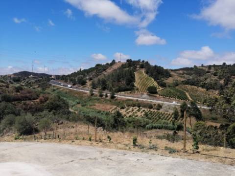 Propriedade ampla com casa para renovar 44.000 m2 Torres Vedras