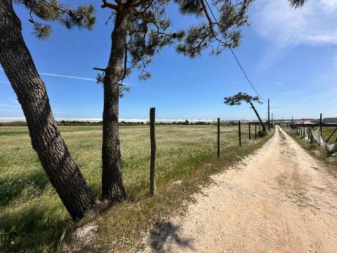 Quinta Rural para Recuperar