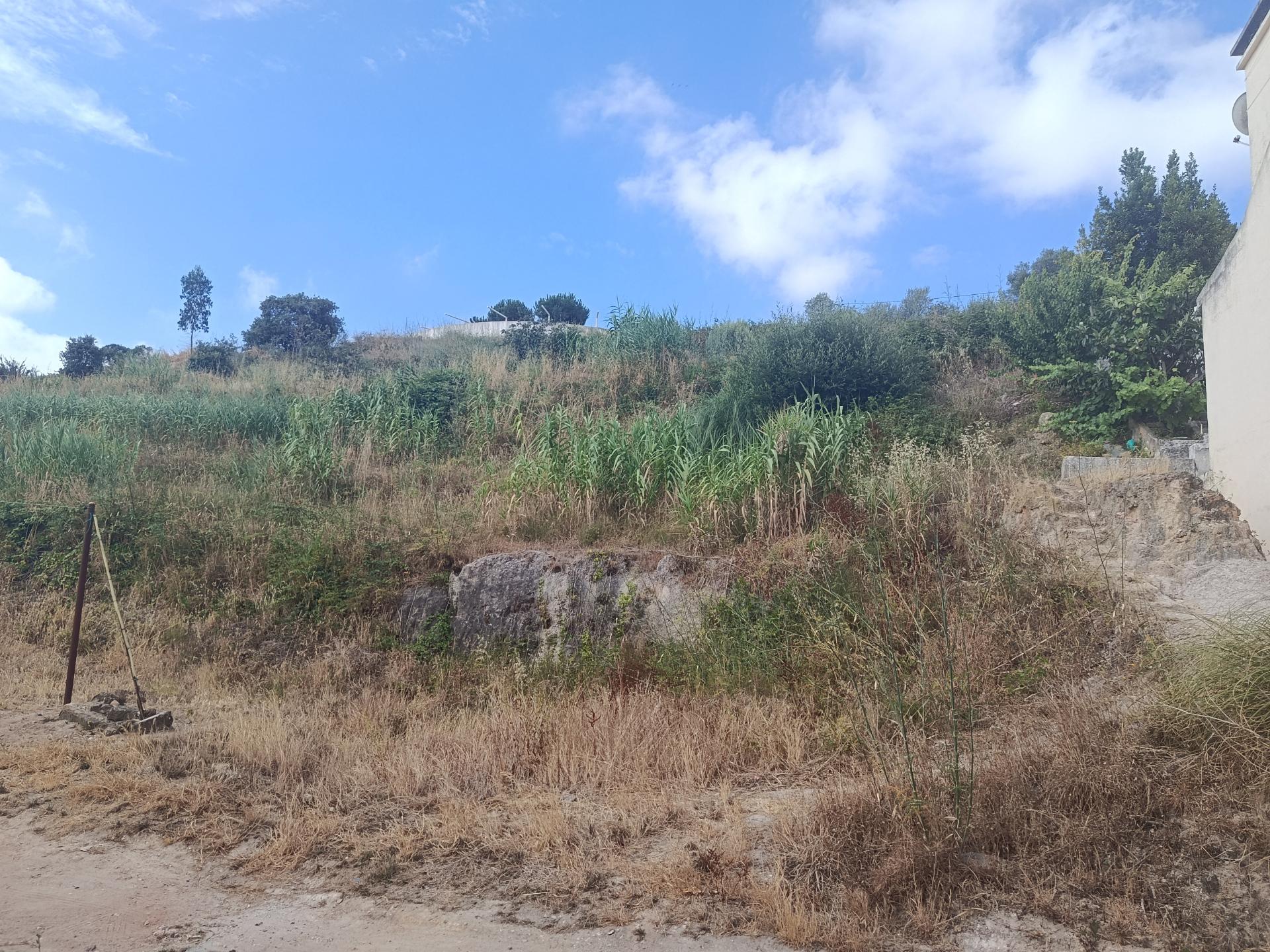 Terreno Urbano em zona privilegiada de Torres Vedras