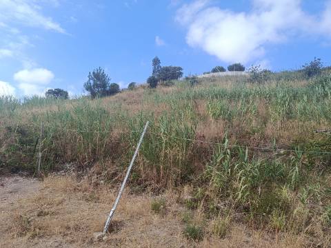 Terreno Urbano em zona privilegiada de Torres Vedras
