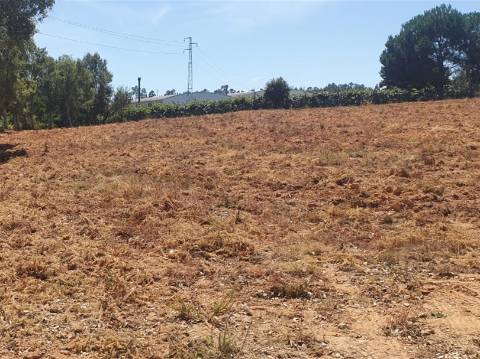 Terreno para construção de moradia térrea