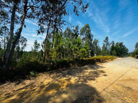 Terreno com 100m de frente