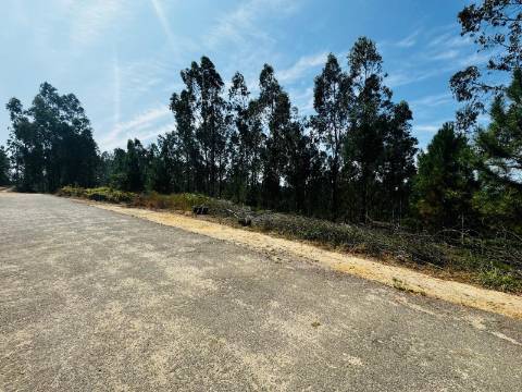 Terreno com 100m de frente