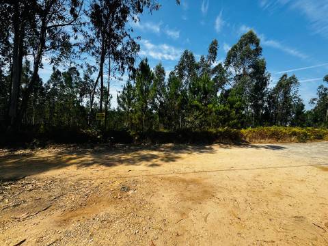 Terreno com 100m de frente