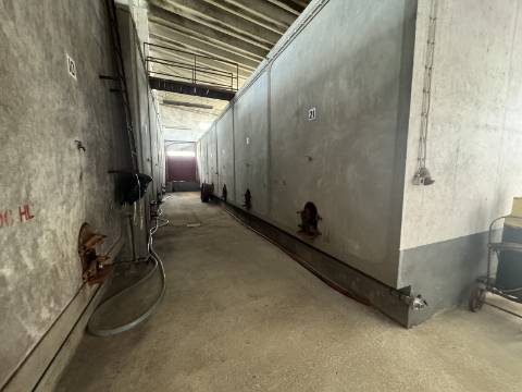 Adega em Fazendas de Almeirim