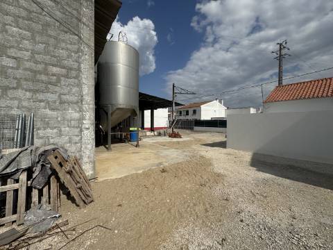 Adega em Fazendas de Almeirim