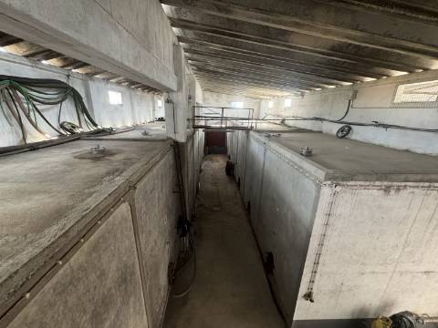 Adega em Fazendas de Almeirim