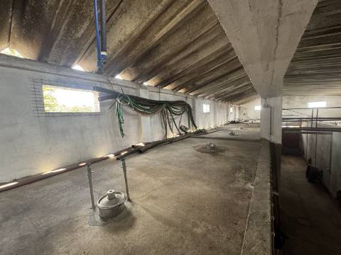 Adega em Fazendas de Almeirim