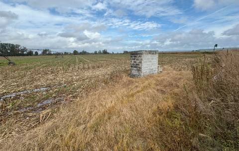 Terreno Rústico de 8 ha em Vale de Cavalos