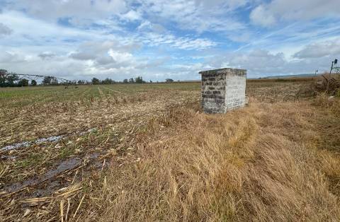 Terreno Rústico de 8 ha em Vale de Cavalos