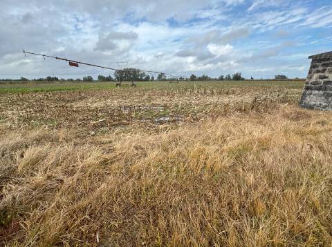 Terreno Rústico de 8 ha em Vale de Cavalos