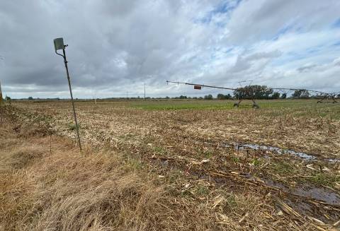Terreno Rústico de 8 ha em Vale de Cavalos