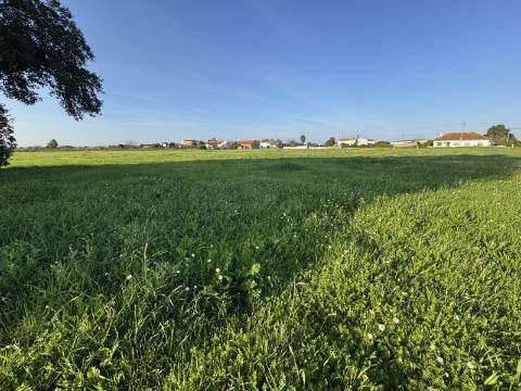Terreno Urbano em Alpiarça