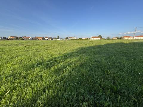 Terreno Urbano em Alpiarça