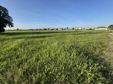 Terreno Urbano em Alpiarça