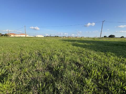 Terreno Urbano em Alpiarça
