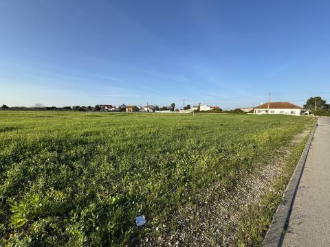 Terreno Urbano em Alpiarça
