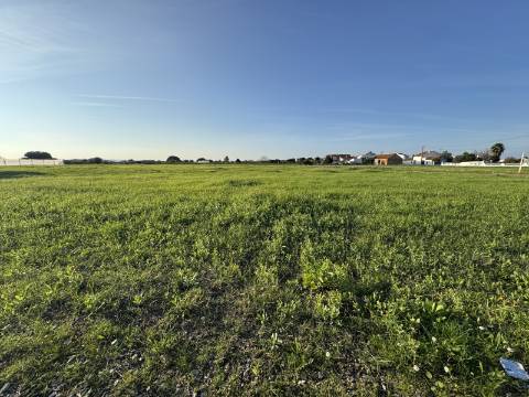 Terreno Urbano em Alpiarça
