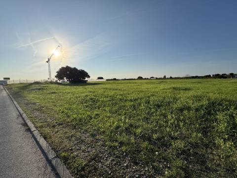 Terreno Urbano em Alpiarça