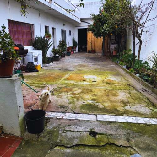 Moradia T4 em Alpiarça