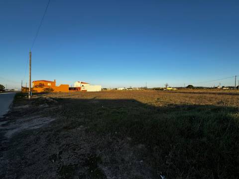 Lotes de terreno urbano em Alpiarça
