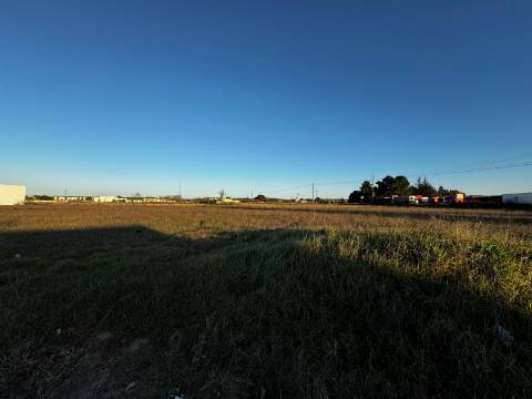 Lotes de terreno urbano em Alpiarça