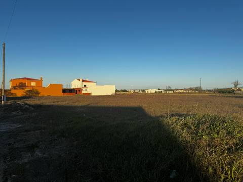 Lotes de terreno urbano em Alpiarça