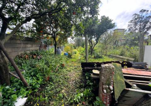 Moradia T2 em Alpiarça