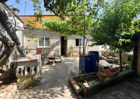 Quinta em Tremês (Santarém)