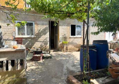 Quinta em Tremês (Santarém)