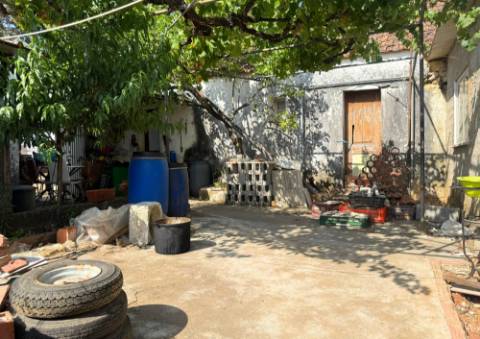 Quinta em Tremês (Santarém)