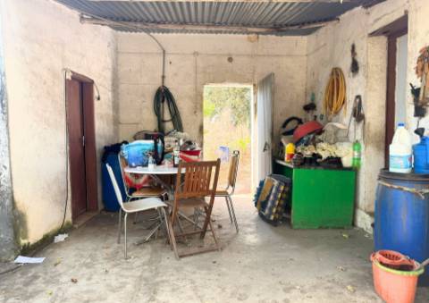 Quinta em Tremês (Santarém)