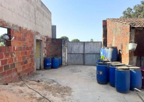 Quinta em Tremês (Santarém)