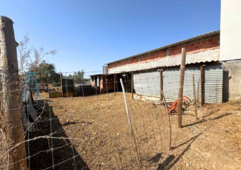 Quinta em Tremês (Santarém)