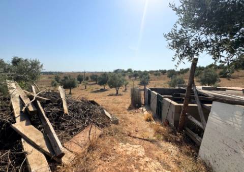 Quinta em Tremês (Santarém)