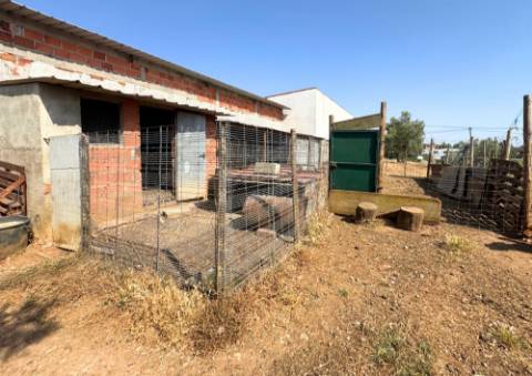 Quinta em Tremês (Santarém)