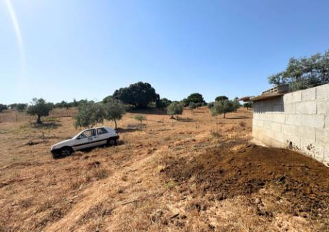 Quinta em Tremês (Santarém)