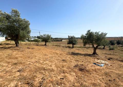 Quinta em Tremês (Santarém)